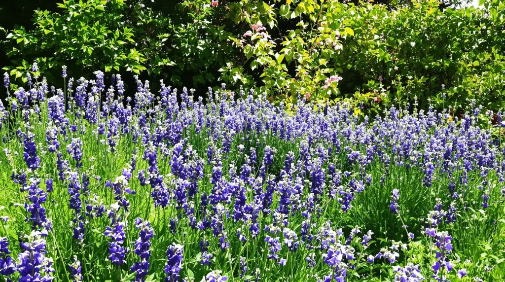 Ces fleurs bleues à planter dès aujourd’hui dans votre jardin pour attirer un nuage d’abeilles sans effort
